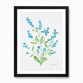 Forget-me-not Art Print