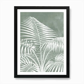 Palm Tree Leaves in Sage Green, Tropical Botanical 1 Art Print