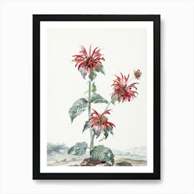 Illustrated Floral Art Print_2835782 Art Print