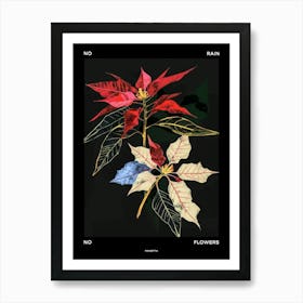 No Rain No Flowers Poster Poinsettia 2 Art Print