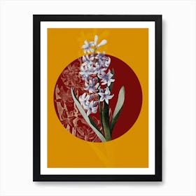 Vintage Botanical Dutch Hyacinth Hyacinthus orientalis on Circle Red on Yellow n.0041 Art Print