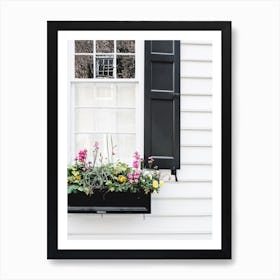 Flower Box I Art Print