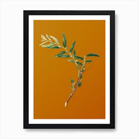 Vintage Jujube Botanical on Sunset Orange n.0084 Art Print