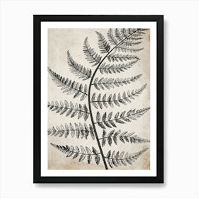 Fern Leaf Botanical 3 Art Print