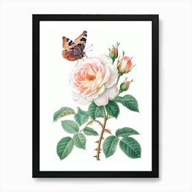 English Roses Painting Rose With Butterfly 2 Art Print