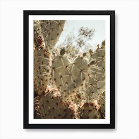 Heart Shaped Cactus Art Print