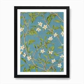 Kousa Dogwood tree Vintage Botanical Art Print