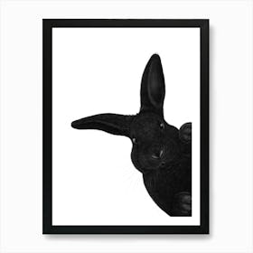 Black Bunny Art Print