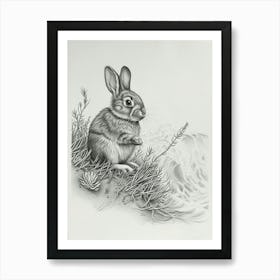 Mini Rex Rabbit Drawing 4 Art Print