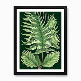 Japanese Tassel Fern 6 Vintage Botanical Poster Art Print