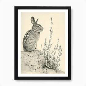 Chinchilla Rabbit Drawing 4 Art Print