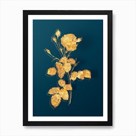 Vintage Provence Rose Botanical in Gold on Teal Blue n.0215 Art Print