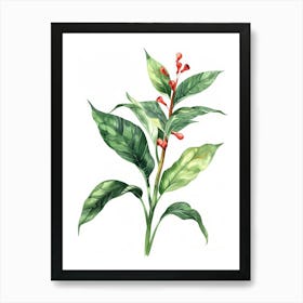 Watercolor Illustration Of A Plant Art Print