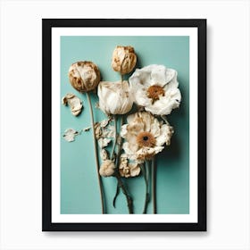 Dry Flowers On Turquoise Background Art Print