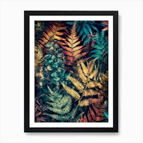 Ferns leaves nature 2 Art Print