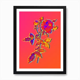 Neon Provence Rose Botanical in Hot Pink and Electric Blue n.0096 Art Print