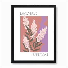 Lavender In Bloom Flowers Bold Illustration 1 Art Print