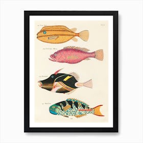 Colourful And Surreal Illustrations Of Fishes Found In Moluccas (Indonesia) And The East Indies, Louis Renard(8) Art Print