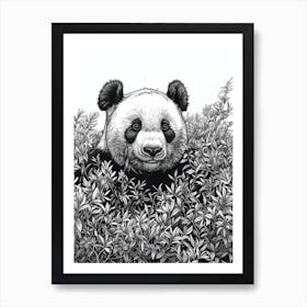 Giant Panda Hiding In Bushes Ink Illustration 3 Art Print