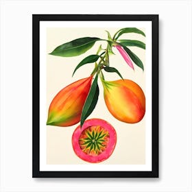 Dragonfruit Watercolour Fruit Painting Fruit Art Print