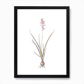 Stained Glass Hyacinthus Viridis Mosaic Botanical Illustration on White n.0031 Art Print