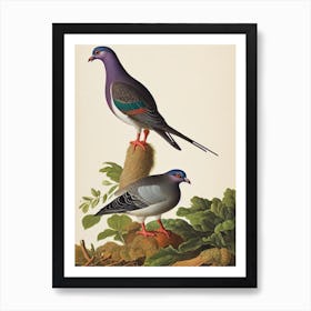 Pigeon James Audubon Vintage Style Bird Art Print