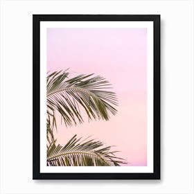 Pink Palm Sunset Art Print