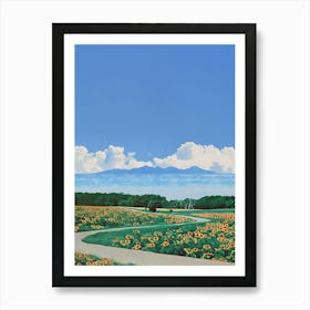 Sunflower Field Art Print