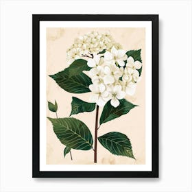 Hydrangea 6 Art Print