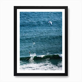 Flying Art Print