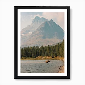 Moose In Lake Art Print