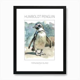 Humboldt Penguin Fernandina Island Watercolour Painting 4 Poster Art Print