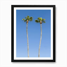 Idyllic Palm Trees Art Print