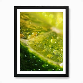 Water Droplets On Lime 1 Art Print