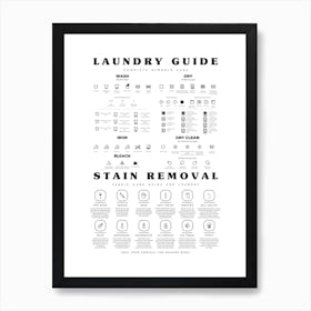 The Laundry Guide With Stain Removal New Icon Art Print