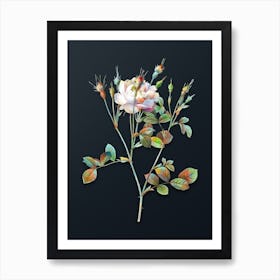 Vintage Anemone Flowered Sweetbriar Rose Botanical Watercolor Illustration on Dark Teal Blue n.0567 Art Print