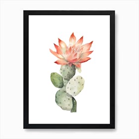 Devils Tongue Cactus Watercolour Drawing 3 Art Print