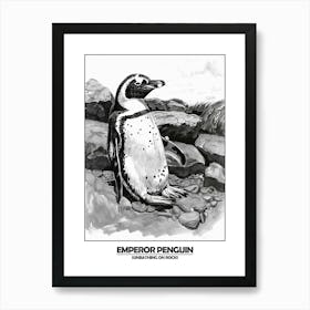 Penguin Sunbathing On Rocks Poster 4 Art Print