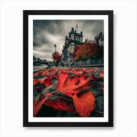 Autumn Leaves On The Ground Art Print