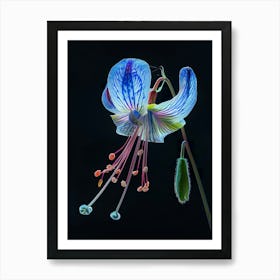 Fuchsia 5 Art Print