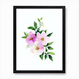Apple Blossom Watercolour Flower Art Print