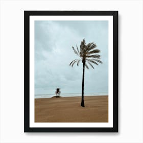 Palm Tree On The Beach, Cullera, Valencia Art Print