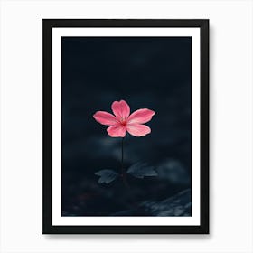 Pink Flower In Water 1 Art Print