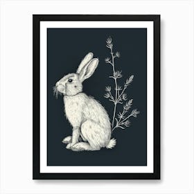 American Sable Rabbit Minimalist Illustration 1 Art Print