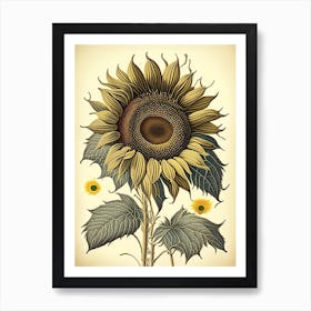 Desert Sunflower Wildflower Vintage Botanical 2 Art Print