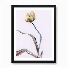 Withered Yellow Tulip Watercolor painting minimal minimalist flower floral white simple modern timeless abstract  Art Print