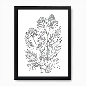 Valerian Herb William Morris Inspired Line Drawing 1 Art Print