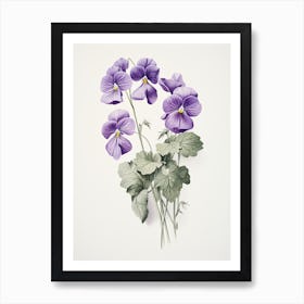 Violets Flower Vintage Botanical 3 Art Print