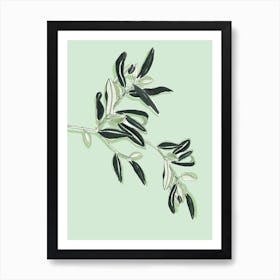 Soft Coloured Olives Art Print