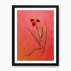 Vintage Tiger Flower Botanical Art on Fiery Red Art Print